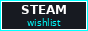 Steam